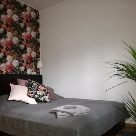 Business&Relax Apartment 14 波兹南 外观 照片
